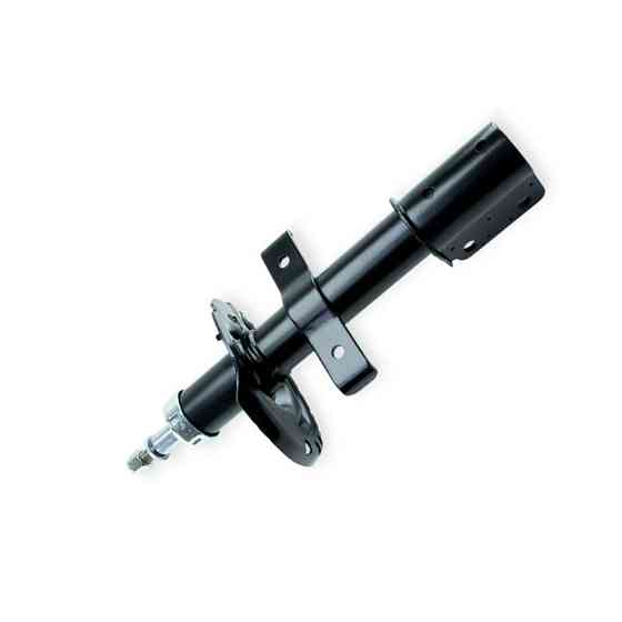 Амортизатор Renault Clio III, Modus (масло) 04-передній Мукачево