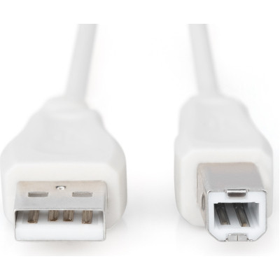 Кабель для принтера USB 2.0 AM/BM 1.8m Digitus (AK-300102-018-E) Винница - изображение 1