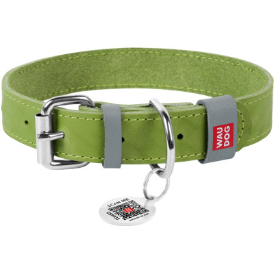 Нашийник для тварин WAUDOG Classic шкіряний 12 мм х 19-25 см салатовий (02015) Вінниця - фото 1