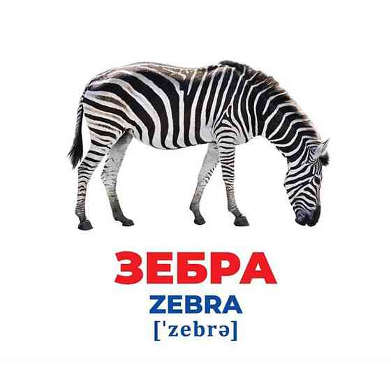 Набор развивающих карточек Гений с пеленок 