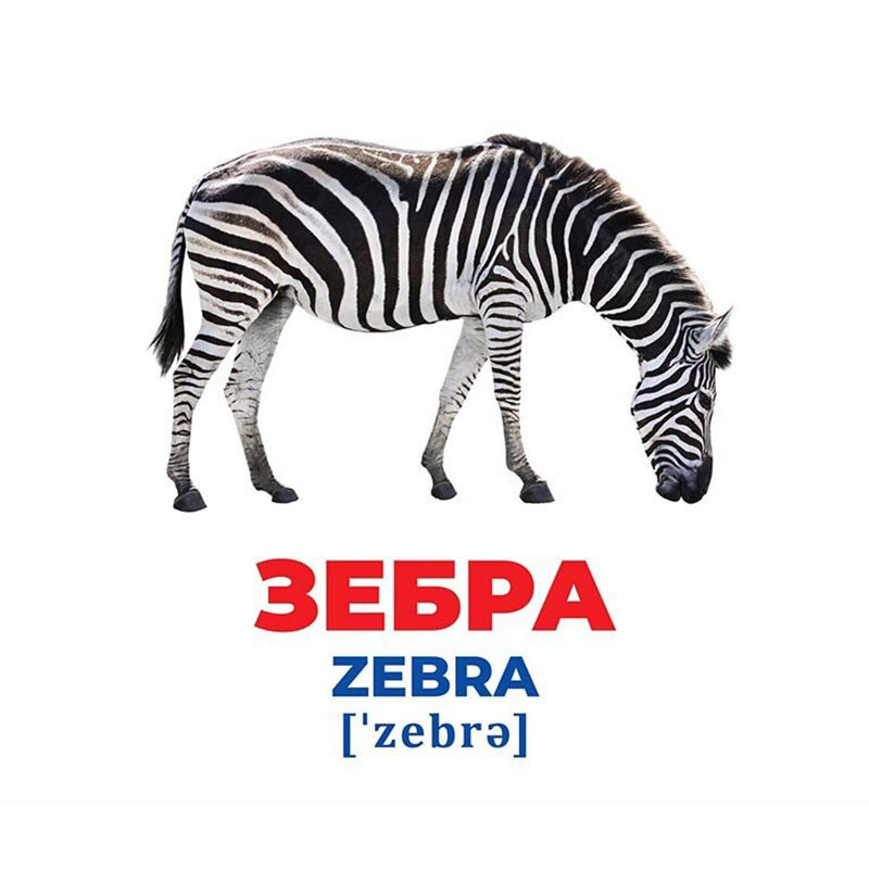 Набір розвиваючих карток Геній з пелюшок "Тварини різних широт" 10107200, 17 карток Вінниця - фото 3