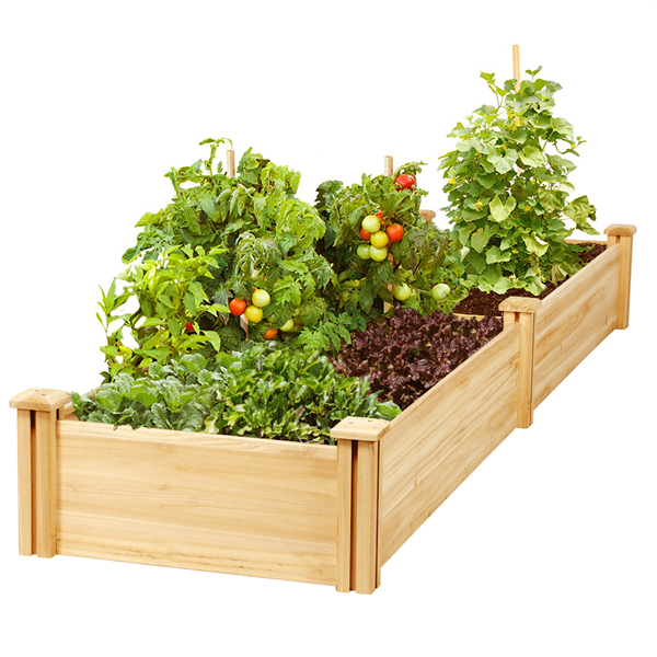 Кашпо садове "Тукупіта" бланже Миколаїв - фото 1