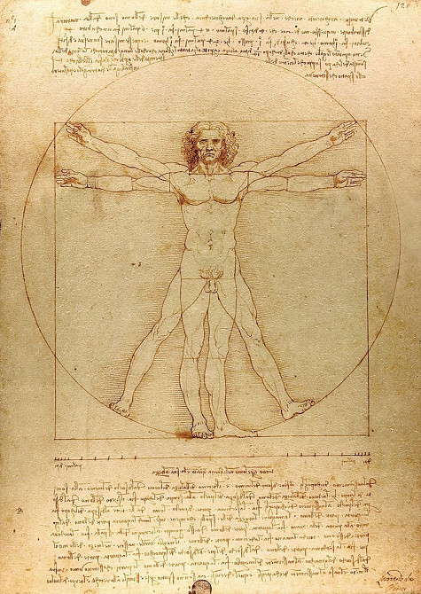 Пазл Вітрувіанська людина - The Vitruvian Man (Enjoy-1557) Киев - изображение 3