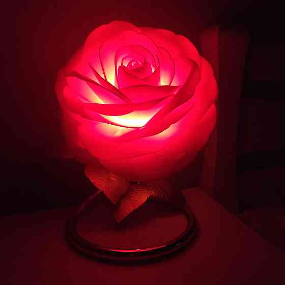 Світильник-нічник "Ала камелія" Дніпро