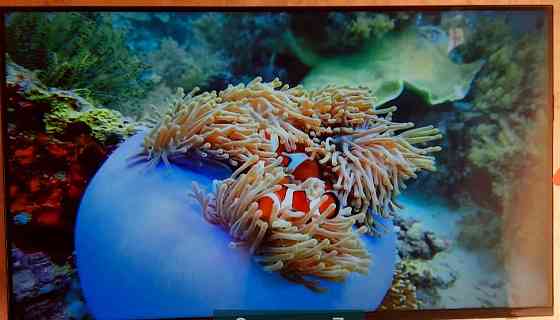 Телевизор: ERGO 43