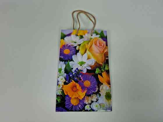 Бумажный пакет подарочный Средний 17/26/8(артSV-236) (12 шт) Харьков