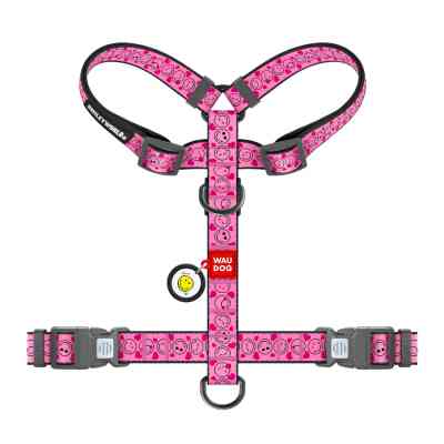 Шлея для собак WAUDOG Nylon анатомічна H-подібна з QR-паспортом "Смайли на рожевому" пластиковий фастекс, L (345-0187) Вінниця