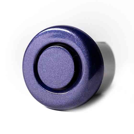 Парктроник ParkCity Lviv 619/4M Dark Blue Харьков