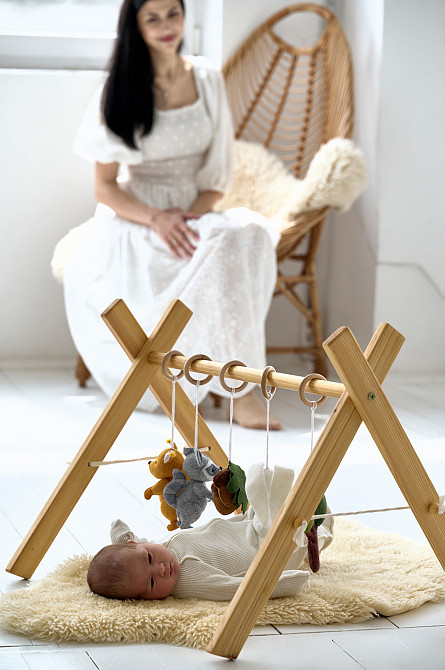 Детский тренажер WoollyFox 