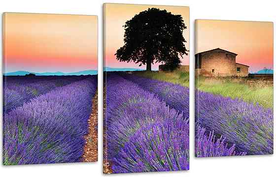 Модульна картина Будинок Лаванда Art-50_3 Київ