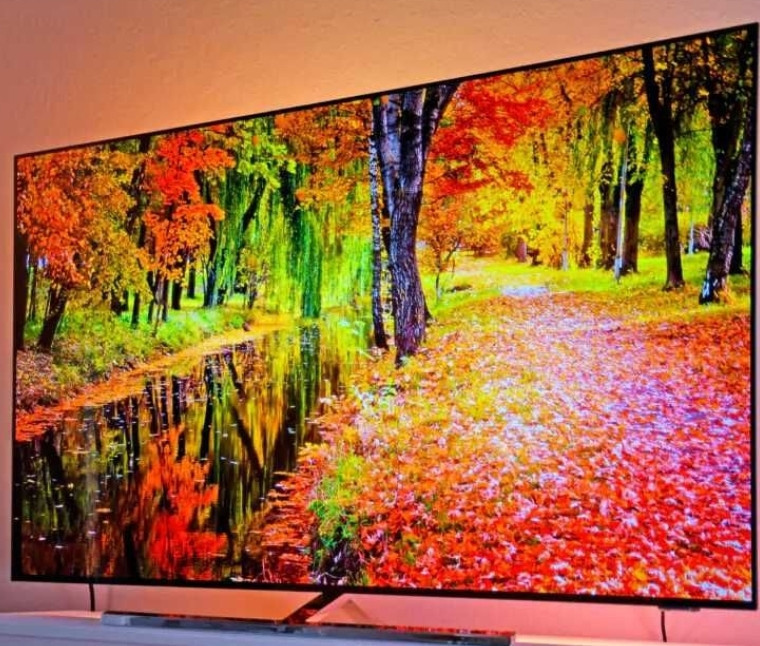 Телевизор Безрамный: 65