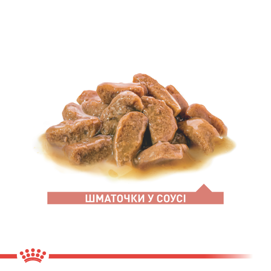 Вологий корм для літніх котів ROYAL CANIN AGEING 11+(від 11 років) 0.085 кг Київ