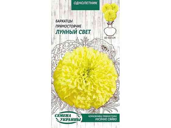 Чорно-горілці прямостоячі Місячне світло ОД 0,5 г (10 пачок) ТМ CЕМЕНА УКРАЇНИ Solmir Київ