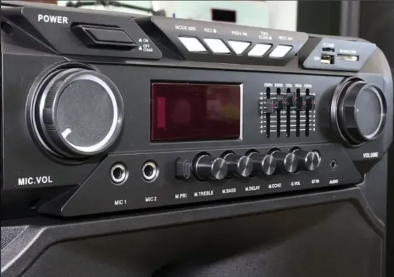 Акустична переносна колонка ZXX-1011 800Вт 15" 45х72х36см USB/SD/FM/BT/2MIC/ДУ Київ