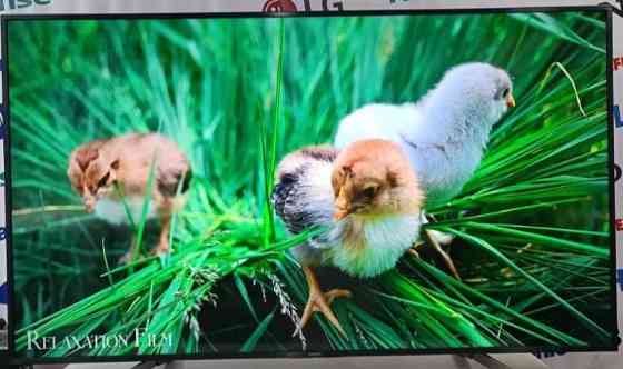 Телевизор Безрамный: 65