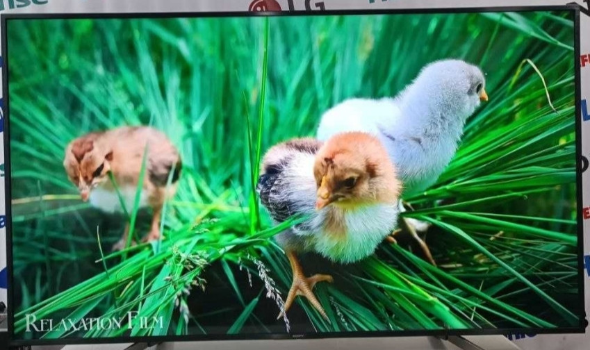 Телевизор Безрамный: 65