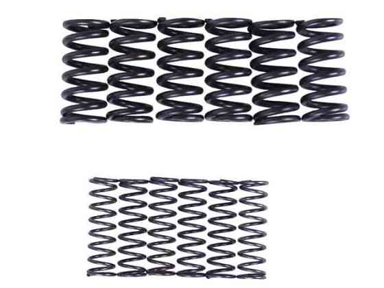 Пружины диска нажимного, 12 шт. - MFC Мукачево