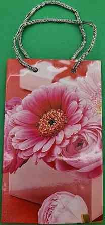 Пакет паперовий подарунковий малий 11/18/5 (арт М014) (12 шт.) Харків