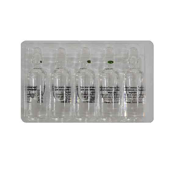 Nux vomica-Homaccord (Нукс Воміка-Гомакорд) ветеринарний) 5 мл №5, Heel (термін до 30,10,2028 р) Вінниця