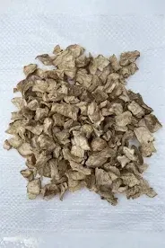 Корінь цикорія (Корень цикория) 100г master sem Киев - изображение 1