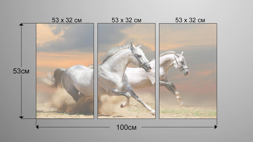 Модульна картина Природа Коні Аrt-81_3А Київ - фото 3
