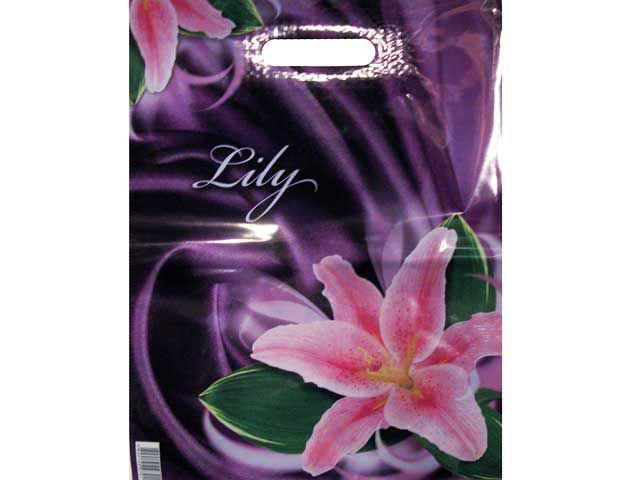 Пакет с прорезной ручкой, ламинированный 