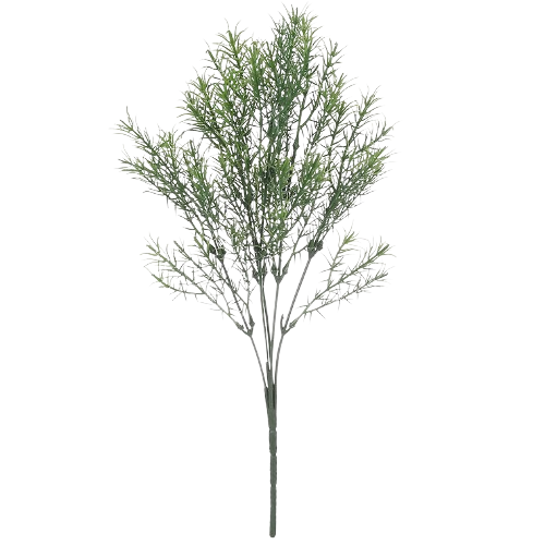 Букет Аспарагуса 46см (5гілок), колір - зелений, пластик Житомир - фото 1