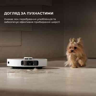 Пылесос Dreame Bot D20 Ultra (RLD31SE) Винница