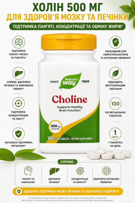 Холин Nature's Way Choline 500 mg 100 табл Киев - изображение 9