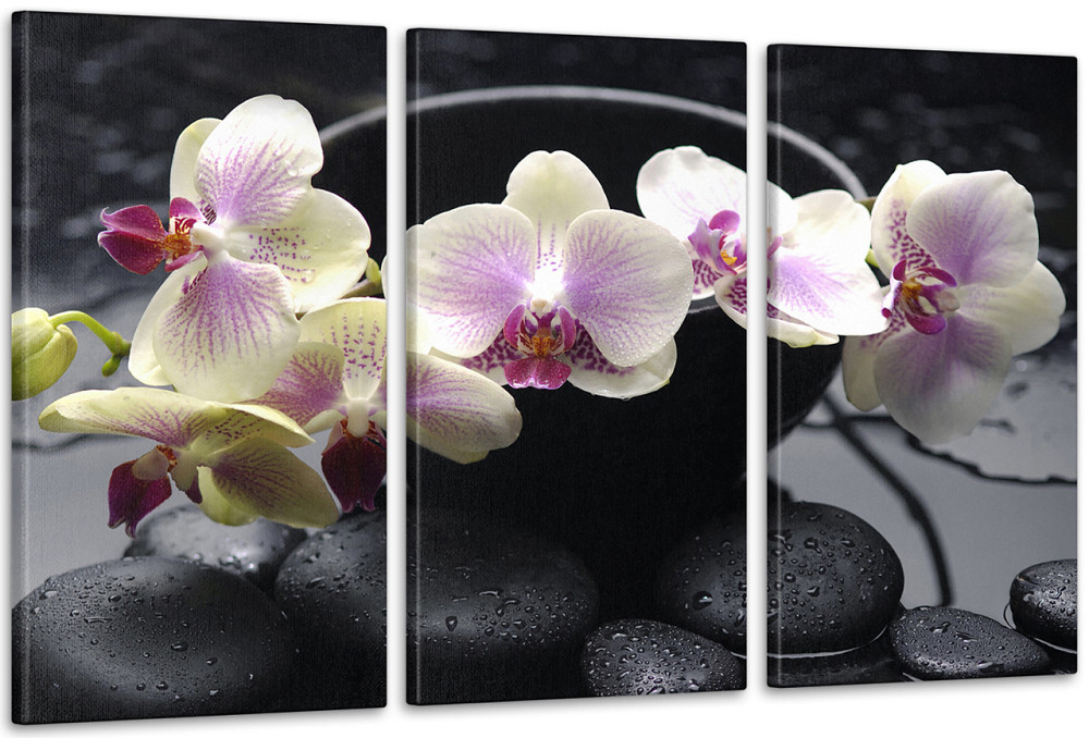 Модульная картина Цветы Орхидея Аrt-335_3А Киев - изображение 1