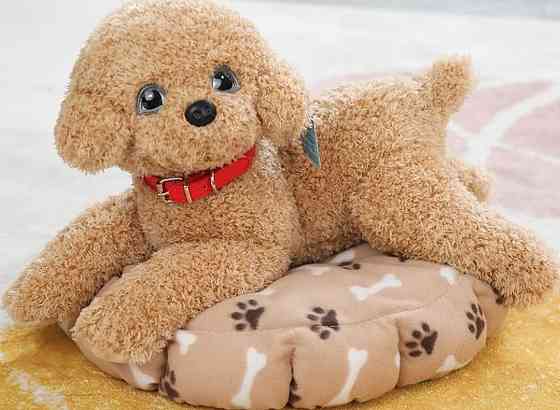 Оригінальний дуже м'який собачка Тедді пудель у розмірі 50 см. Харків