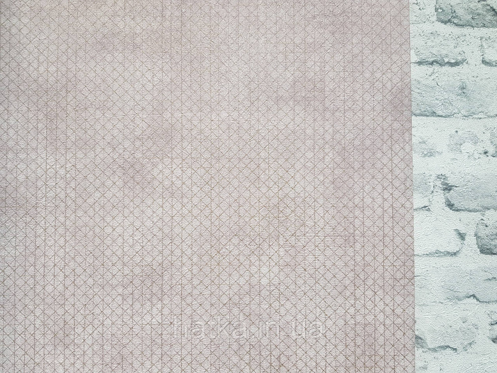 Обои виниловые на флизелине AS creation The Bos 0.53х10 геометрия полоски квадраты золотистые на розовом Киев - изображение 2