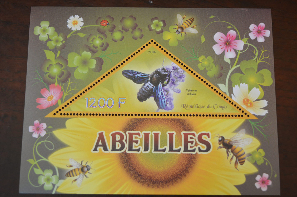 Конго. Фауна. Личности. Блок. 2014 р. (А-34) Полтава - фото 1