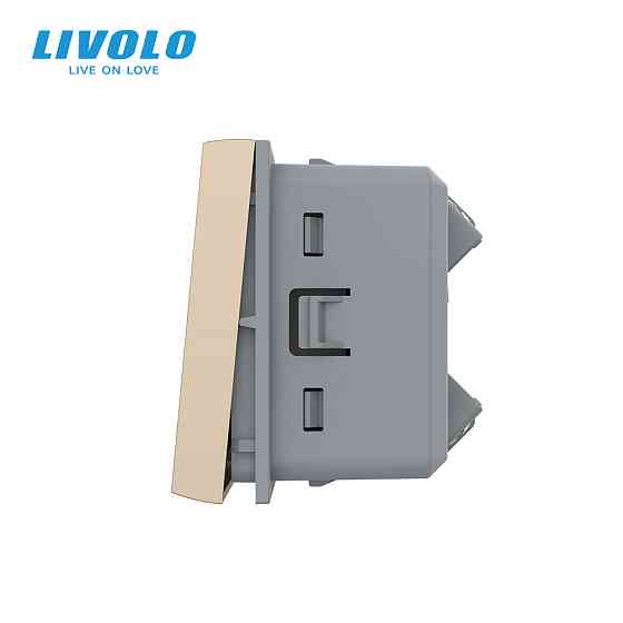 LIVOLO Перехресний (хрестовий) вимикач LIVOLO, золотий, модуль без рамки (VL-FCMM10A-2AP) Коломия