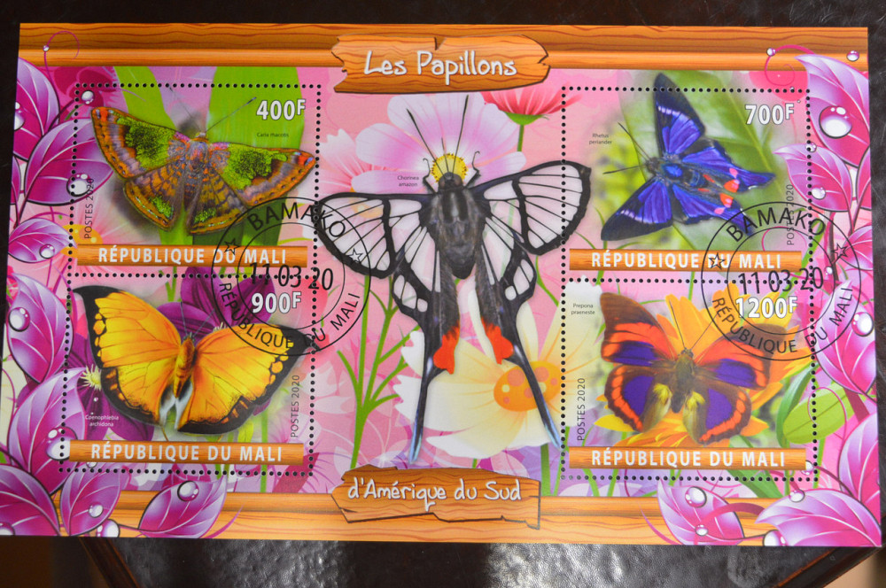 Мали. Марки. Фауна. Блок. 2020 год (В-2) Полтава - изображение 1