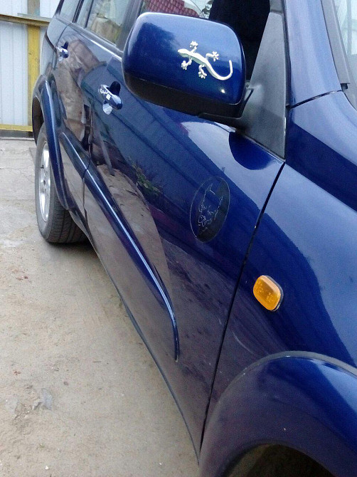 Наклейка Пластиковая Ящерица Серебро Киев - изображение 2