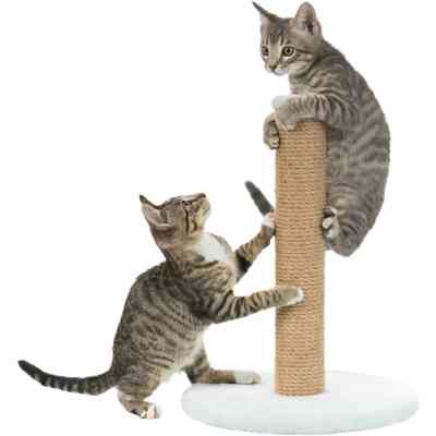 Дряпка (когтеточка) для котов Trixie Junior Столбик 30х42 см мятная (4011905429328) Винница