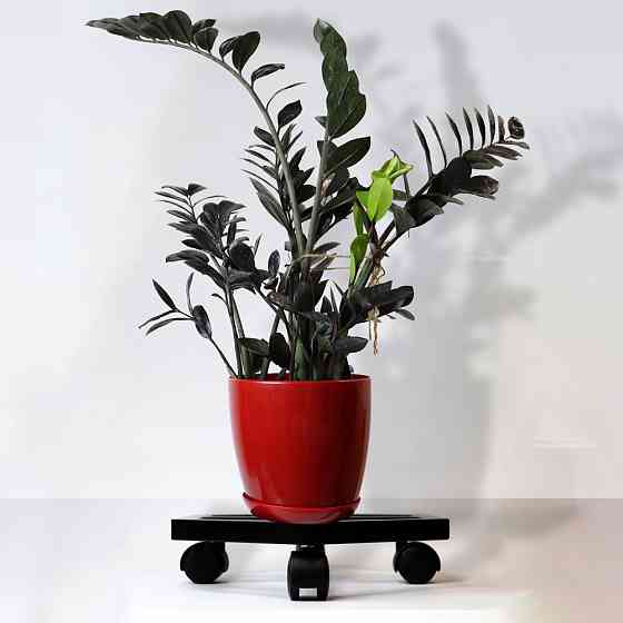 Подставка для цветов Обрий Киев