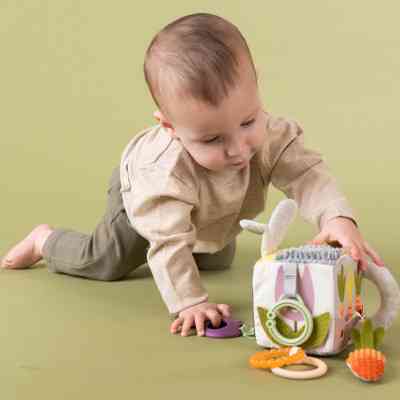 Развивающая игрушка Taf Toys кубик коллекции Садик в городе - Ежик и свекла (13095) Винница