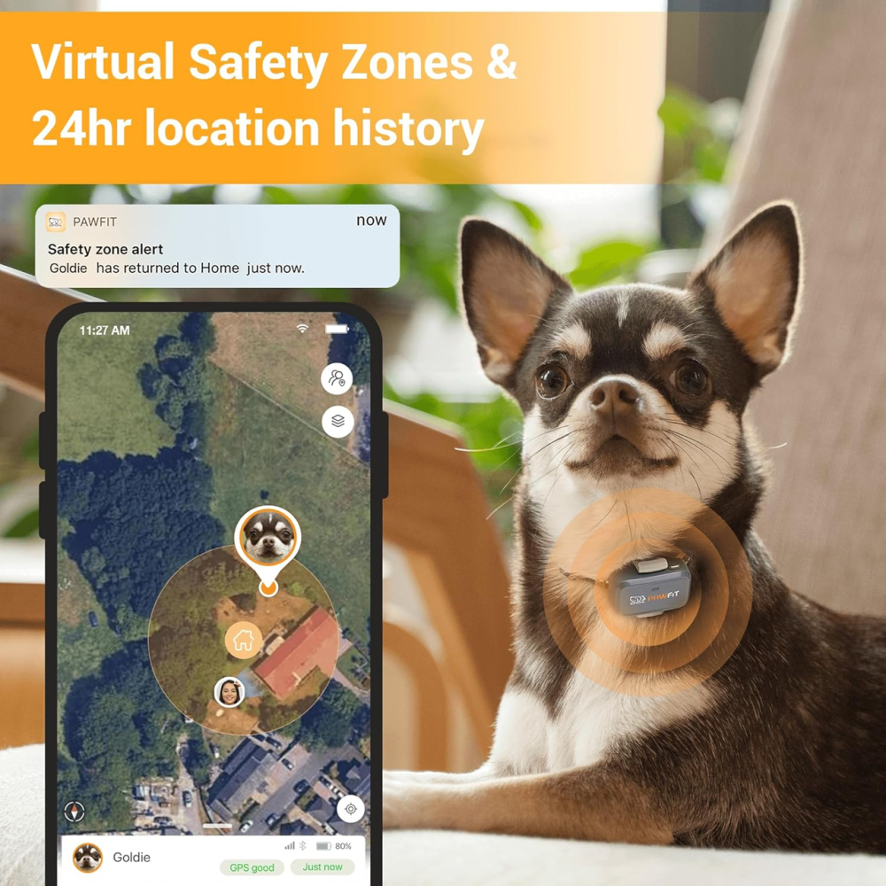 GPS-трекер Pawfit Lite 4G для собак Black Onyx, GPS в реальном времени, мониторинг активности, история маршрутов, неограниченный Киев - изображение 4