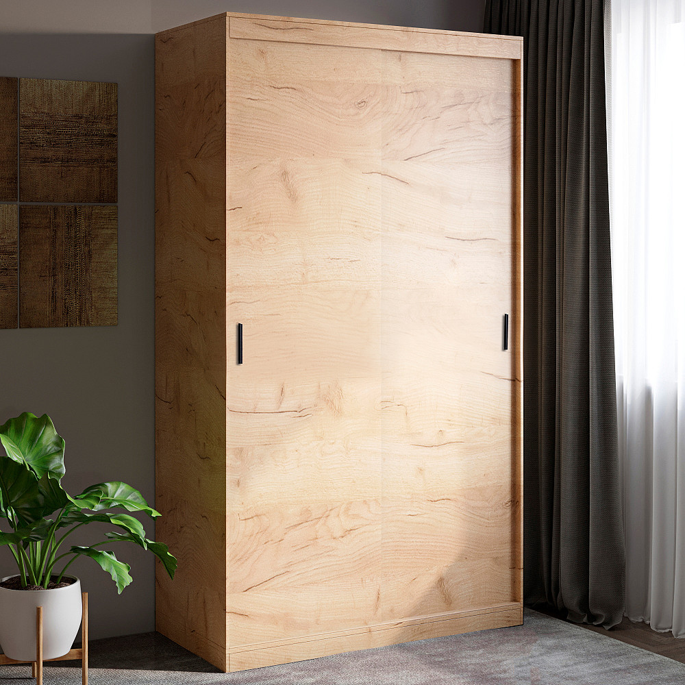 Шкаф-купе Эверест Соната 1200 двухдверный 120х60х217 дуб крафт золотой (DTM-2668) Львов - изображение 1