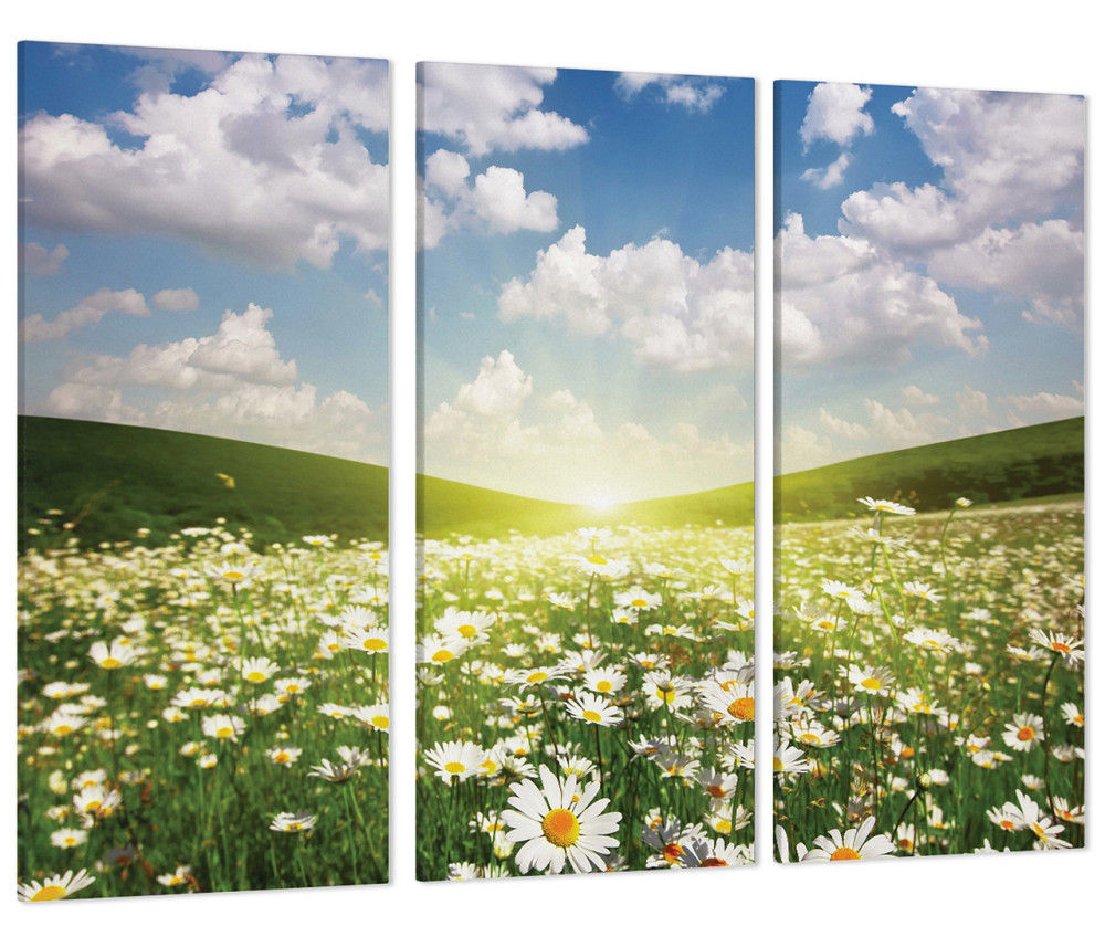 Модульная картина Поле Ромашек Art-170_XXL 53x100 см Киев - изображение 1