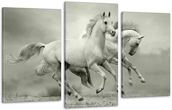 Модульная картина Лошади Art-125_3 100x150 см Киев