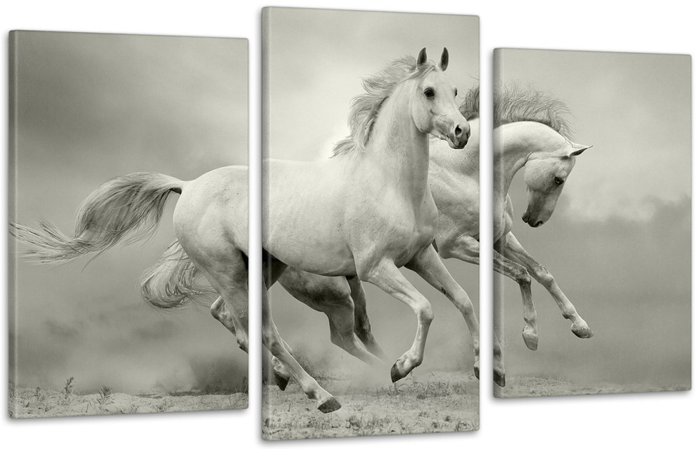 Модульная картина Лошади Art-125_3 100x150 см Киев - изображение 1