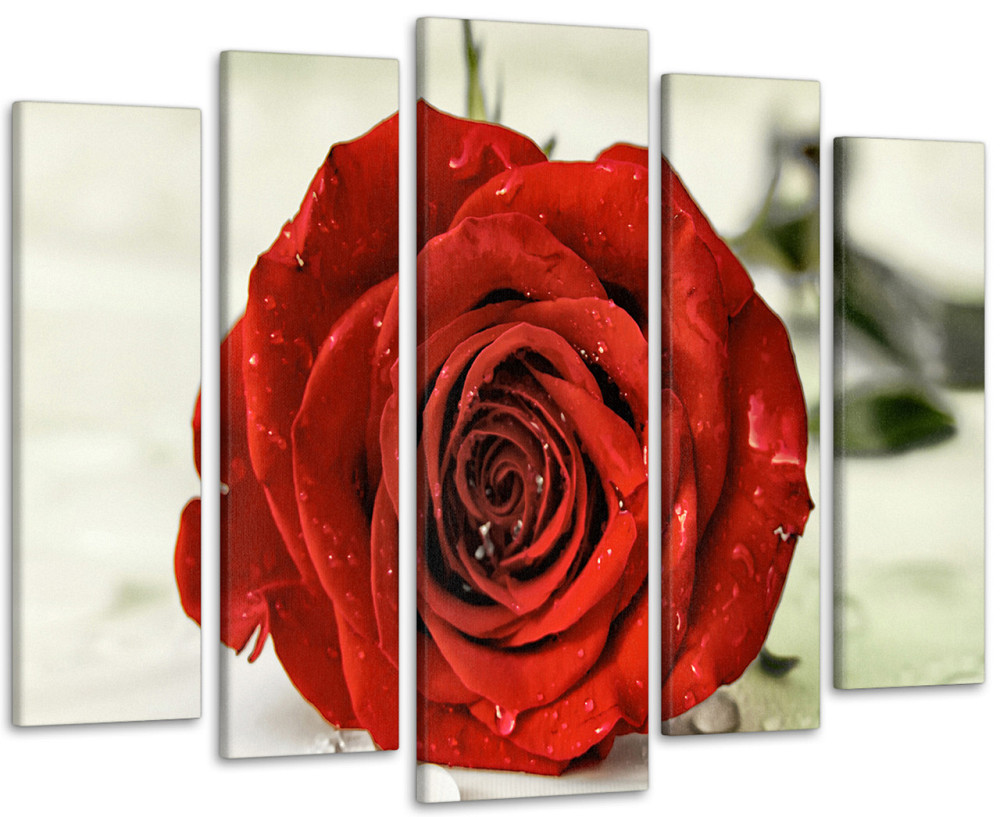 Модульна картина Троянда Art-27_5 Київ - фото 1