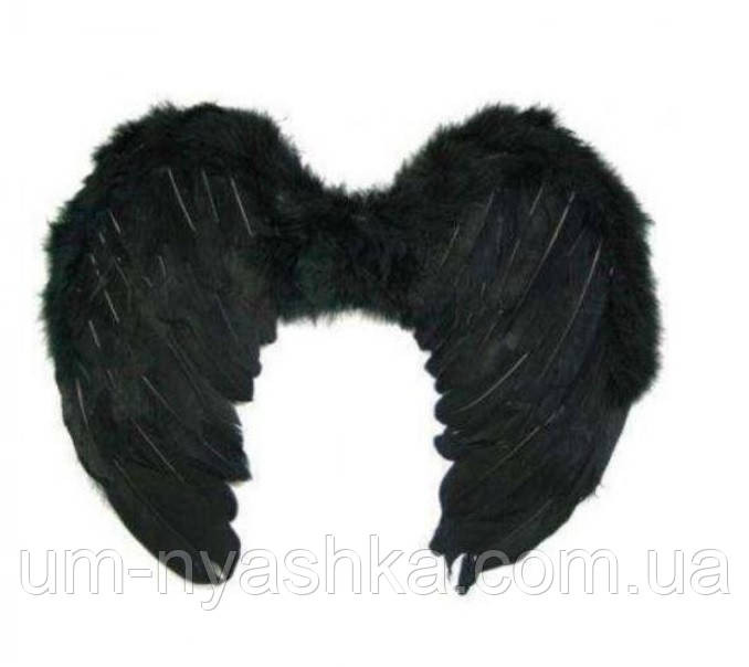 Чорні Крила Ангела з пір'ям 55*40 Кривий Ріг - фото 1
