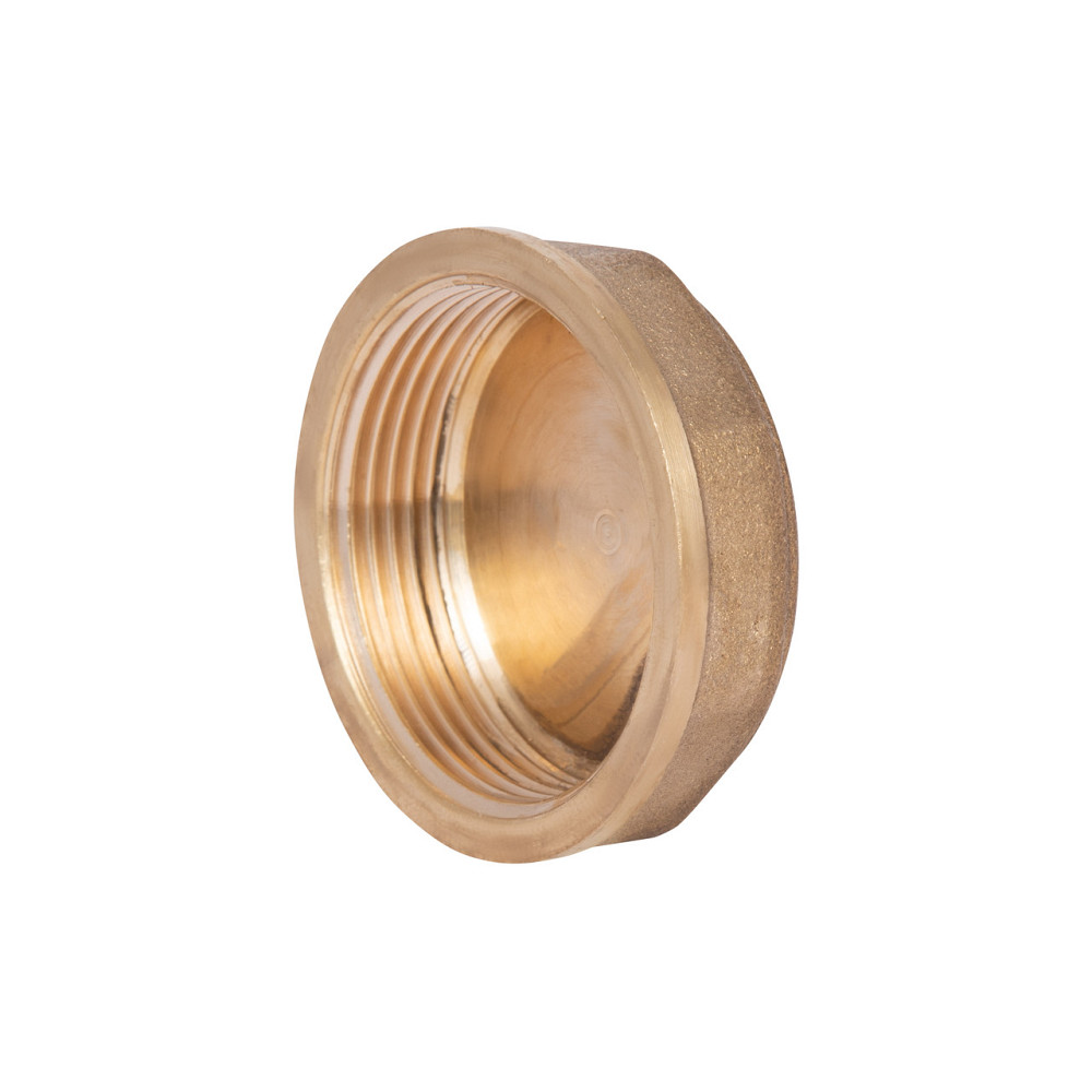 Заглушка Thermo Alliance Standart 1 1/2" ВР SD40240 Київ - фото 7