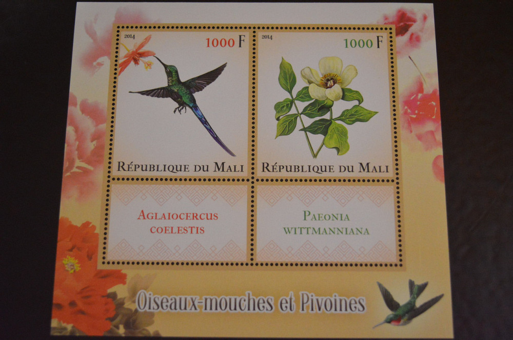 Мали. Фауна. Блок. 2014 год (А-20) Полтава - изображение 1