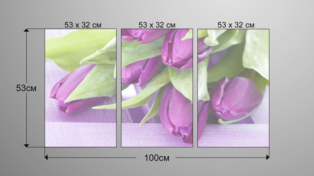 Модульна картина Квіти Тюльпани Art-7_3А Київ - фото 3