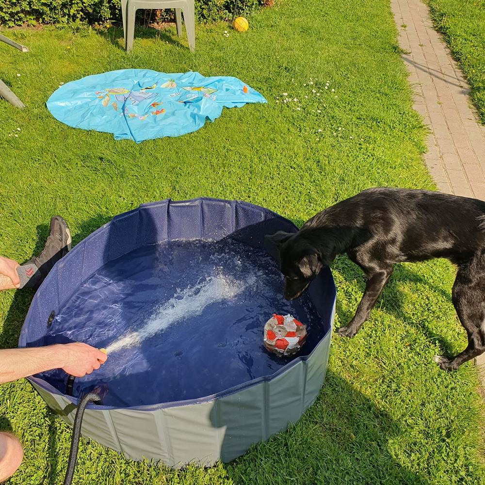 Складной Бассейн 100х30 см для собак и других животных Purlov (20929) Нововолынск - изображение 8